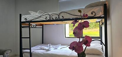 Cabañas Cafeteras Cerritos