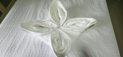 Cabañas Cafeteras Cerritos