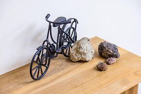 Pica Starlight at Central Station