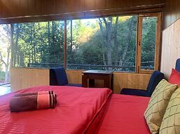 Pine Trails Jungle Camp