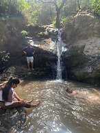 Pine Trails Jungle Camp