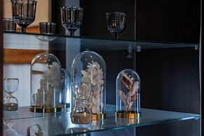 JAPAVISTA Xenith Premium