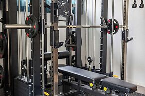 JAPAVISTA Xenith Premium