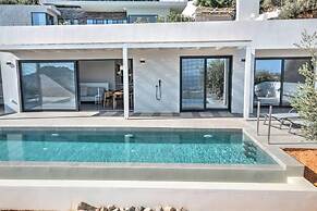 Villa Chelidoni in Mariou