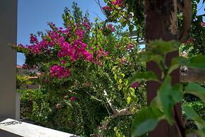 Villa Armonia two Bedroom Villa