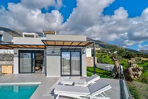 Villa Vidiano in Foinikas