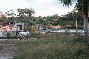 Casitas at Rancho Kuxtal