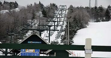 Pocono Retreat -1 Mile to Lake and Skiing