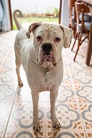 O Vilarejo Hospedaria e Gastronomia