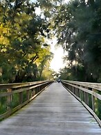 Amazing 6Bd Pool Gameroom Verandapalms