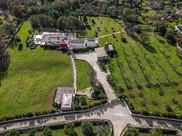 3706 Villa Floras by Perle di Puglia