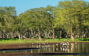 Hutwini - Pafuri Walking Safari