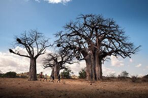 Nkula - Pafuri Walking Safaris