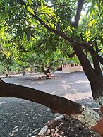 Dev Farm Sasan Gir