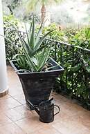 Zen Serenity Retreat