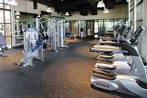 Beauty & The Beast Star Wars Free Access To Resort 6 Bedroom Home by R