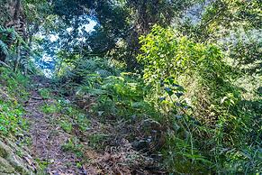 Casa de campo Los Yungas