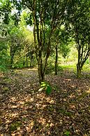 Casa de campo Los Yungas