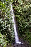 Casa de campo Los Yungas
