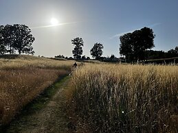 VÄTTERVY GLAMPING