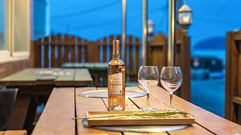 Geoje Blueberry Pet Pension