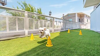 Geoje Blueberry Pet Pension