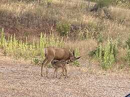 Skyline by the Lake - Gateway to Northern Colorado