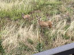 Skyline by the Lake - Gateway to Northern Colorado