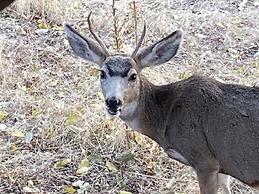 Skyline by the Lake - Gateway to Northern Colorado