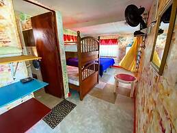 Yellow Moon Guesthouse  Apartments