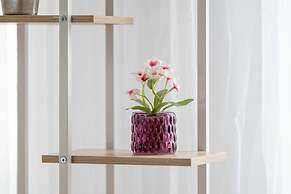 Modern Studio Niemena by Renters