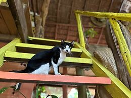 Pousada Pouso das Araras