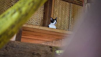 Pousada Pouso das Araras