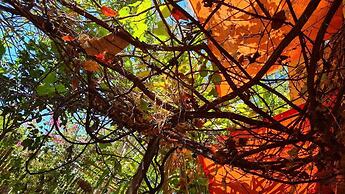 Pousada Pouso das Araras