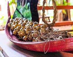 Pousada Pouso das Araras