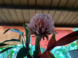 Pousada Pouso das Araras