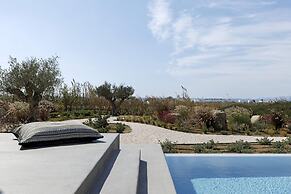 Villa Jardino Plaka Naxos
