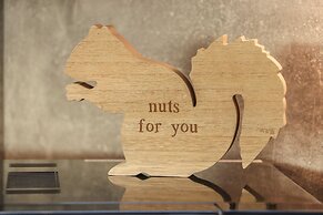 Red Squirrel