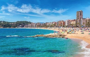 Golondrinas de Malaga