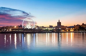 Golondrinas de Malaga