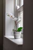 The Hackney Luxury Flats