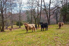 Clarkesville 'rustic Hideaway' on 38-acre Farm!