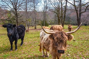 Clarkesville 'rustic Hideaway' on 38-acre Farm!
