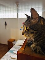 SUMMIT VIEWPOINT HOUSE