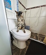 SUMMIT VIEWPOINT HOUSE