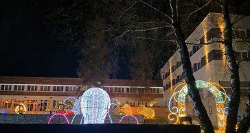 Hotel Malinowski Leśny