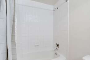 Sensational & Modern apt in Crystal City