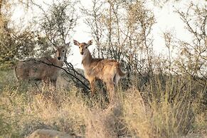 Kaner Retreat - India's First Desert Botanical Resort