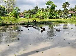 As I Am Ubud Retreat