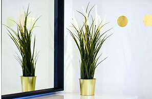 1 Bedroom Apt Leamington Spa Peregrine